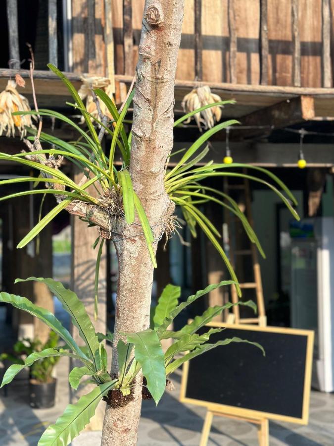 Du Gia Thu'S Homestay Làng Cac Exterior foto